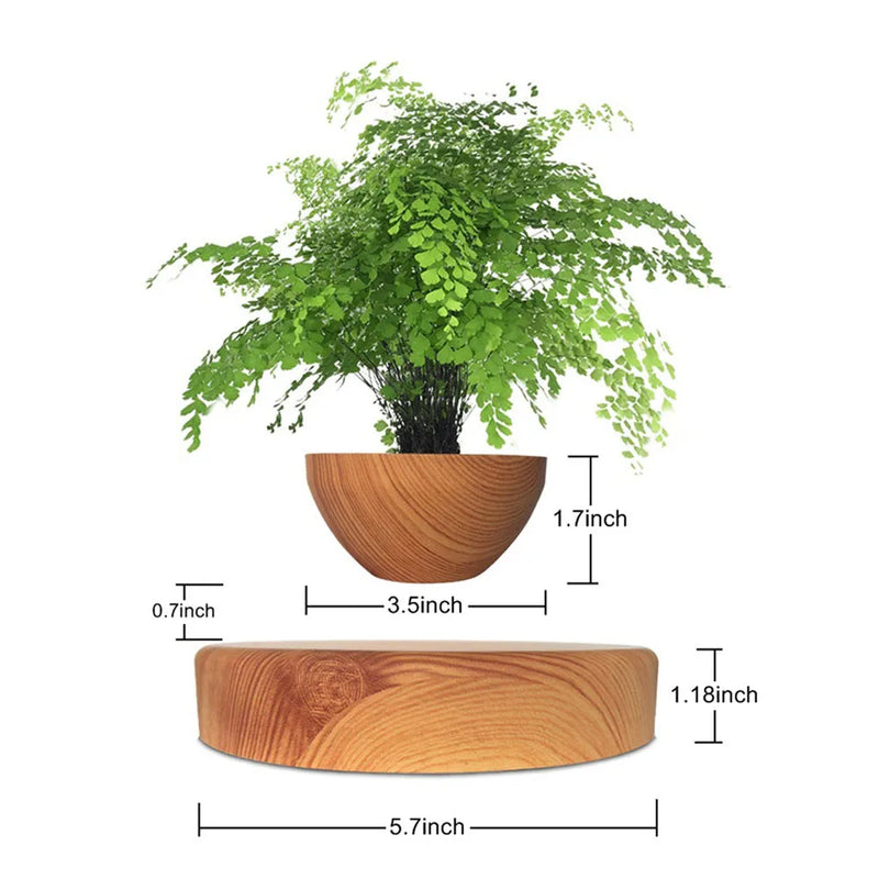 Vaso de Bonsai em Levitação: Uma Peça de Arte Flutuante para o Seu Lar