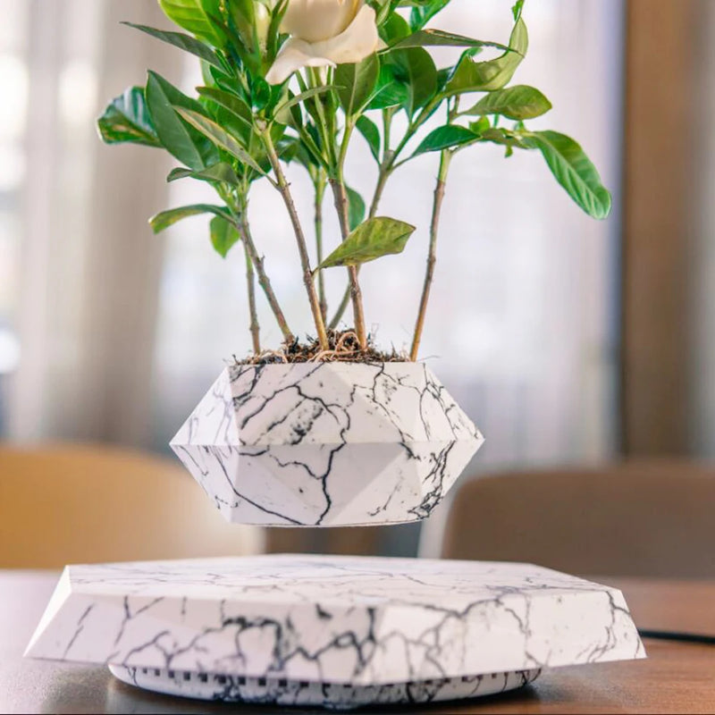 Vaso de Bonsai em Levitação: Uma Peça de Arte Flutuante para o Seu Lar
