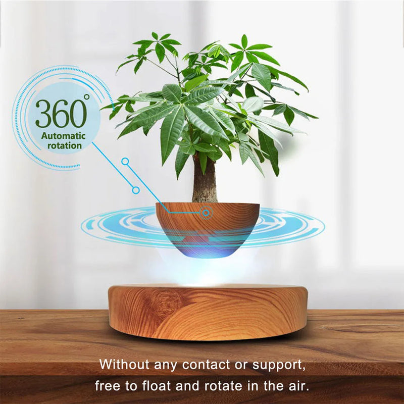 Vaso de Bonsai em Levitação: Uma Peça de Arte Flutuante para o Seu Lar