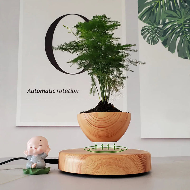 Vaso de Bonsai em Levitação: Uma Peça de Arte Flutuante para o Seu Lar